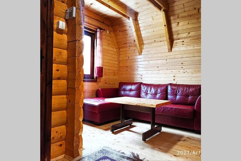 Pinecone Villa Zabljak  Exterior photo