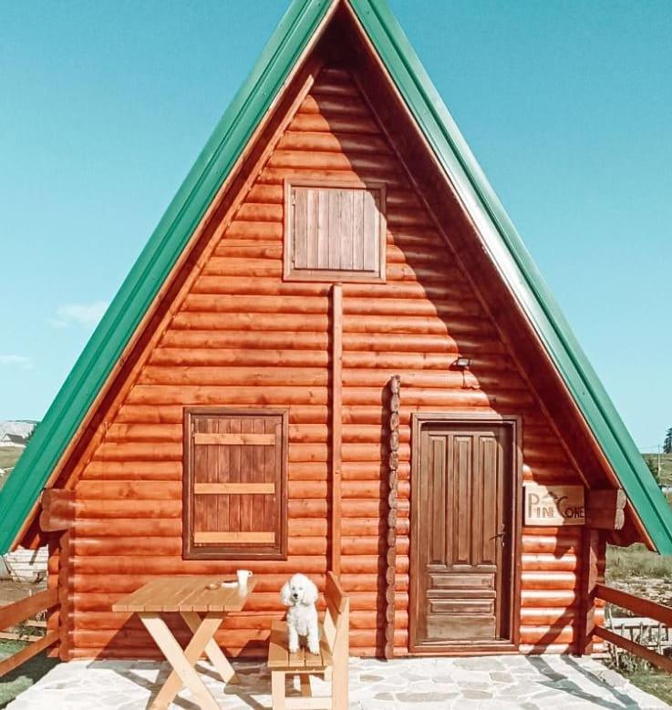 Pinecone Villa Zabljak  Exterior photo
